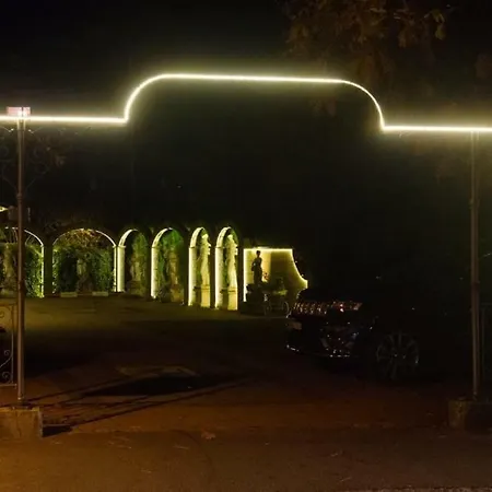 Park * إنترلاكن